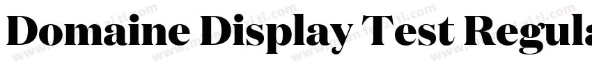 Domaine Display Test Regular字体转换